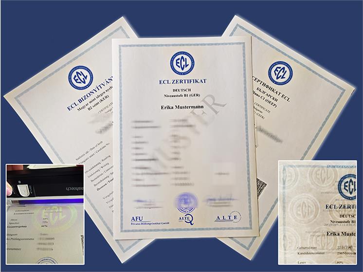 شکل کارنامه