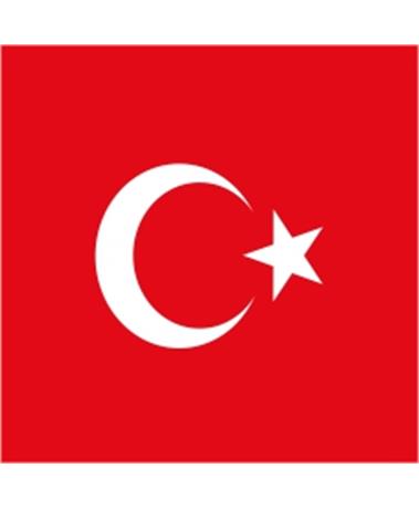 دوره آنلاین زبان ترکی استانبولی با استاد پریشانی