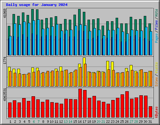Daily usage for January 2024
