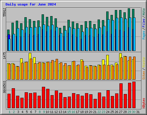 Daily usage for June 2024