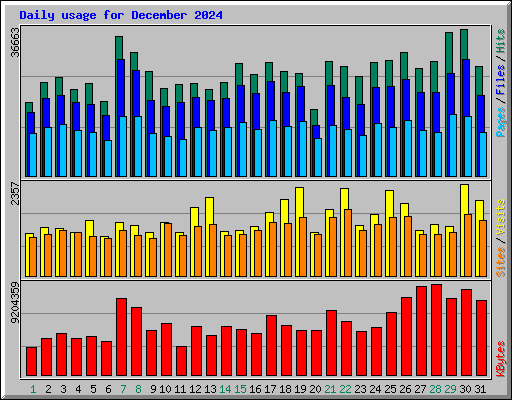 Daily usage for December 2024