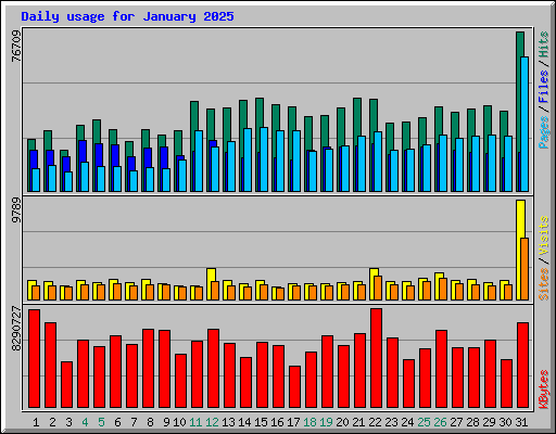 Daily usage for January 2025