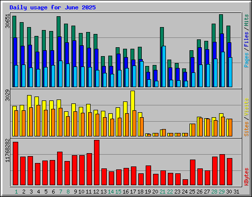 Daily usage for June 2025
