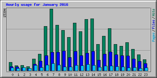 Hourly usage for January 2016