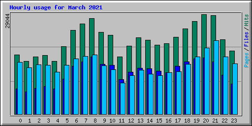Hourly usage for March 2021