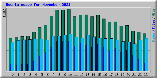 Hourly usage for November 2021