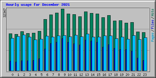 Hourly usage for December 2021