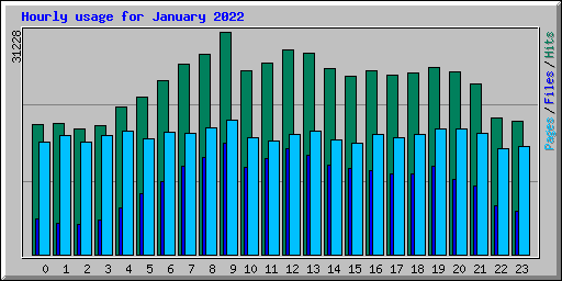 Hourly usage for January 2022