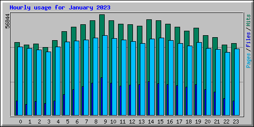 Hourly usage for January 2023
