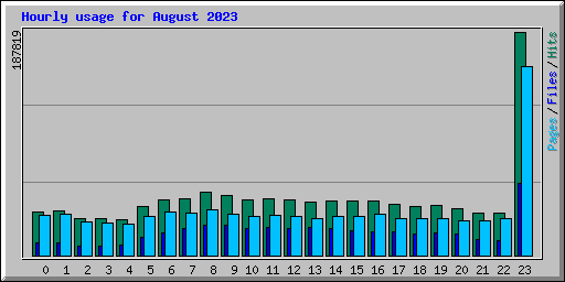 Hourly usage for August 2023