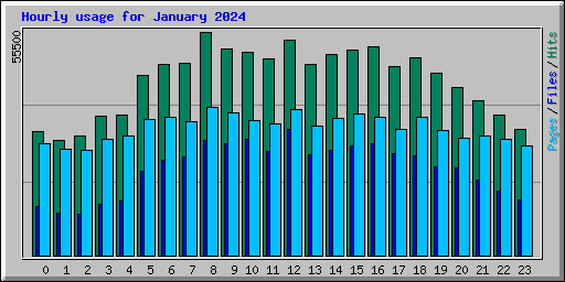 Hourly usage for January 2024