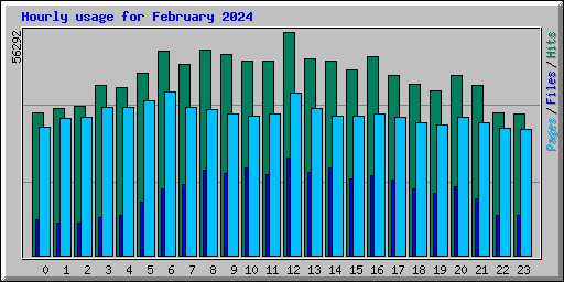 Hourly usage for February 2024