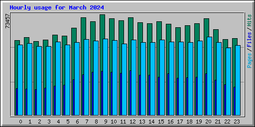 Hourly usage for March 2024