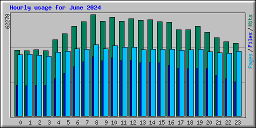 Hourly usage for June 2024