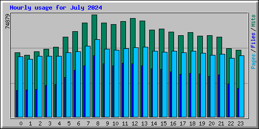 Hourly usage for July 2024