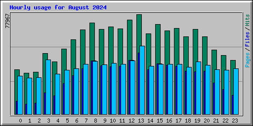 Hourly usage for August 2024
