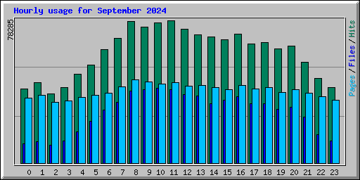 Hourly usage for September 2024