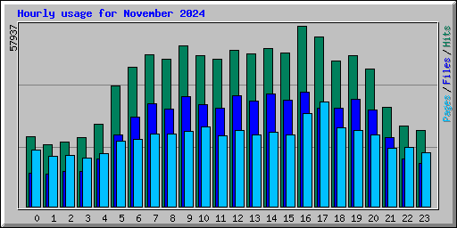 Hourly usage for November 2024
