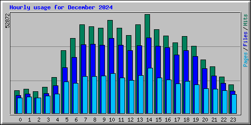 Hourly usage for December 2024
