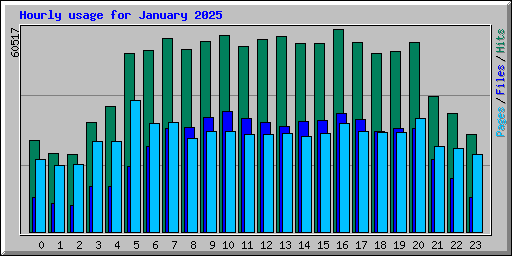 Hourly usage for January 2025