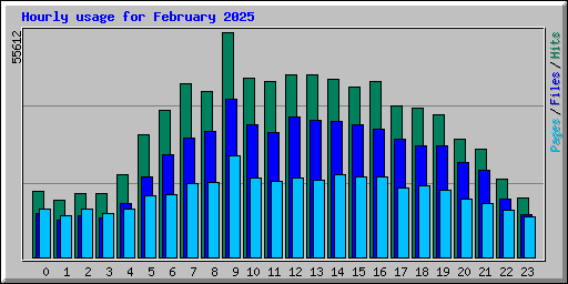 Hourly usage for February 2025