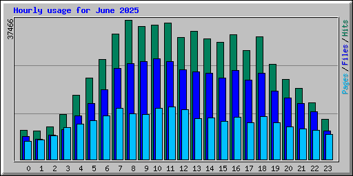Hourly usage for June 2025