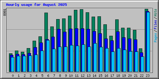 Hourly usage for August 2025