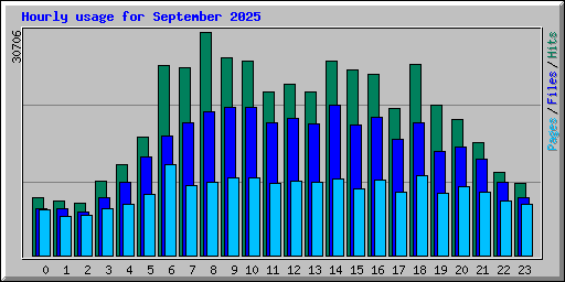 Hourly usage for September 2025