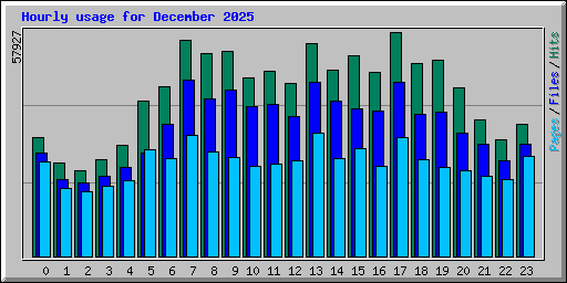 Hourly usage for December 2025